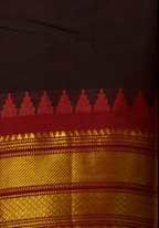 Pure Cotton Saree with Temple Zari Border