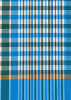 Cotton Saree- Checks