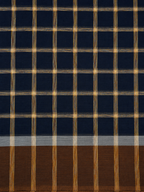 Workday Cotton Saree- Checks