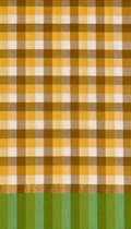 Cotton Saree- Checks