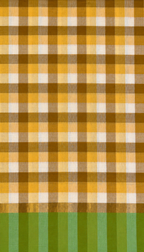 Cotton Saree- Checks